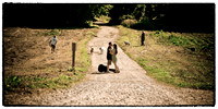 Photographer Select