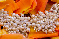 GinaJohnWedding-104