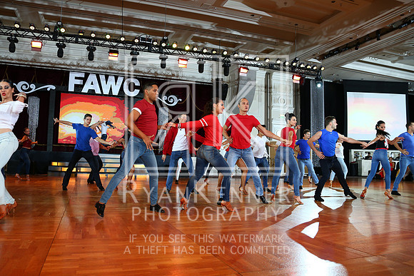 FAWC18_27220541C