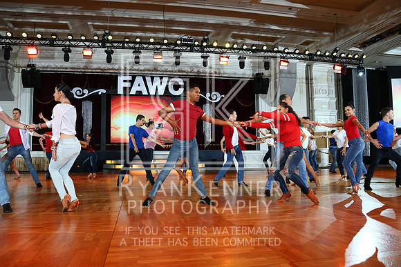 FAWC18_27220542C
