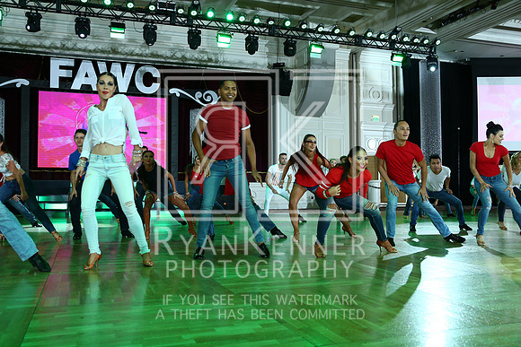 FAWC18_27220559C