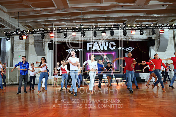 FAWC18_27220609C
