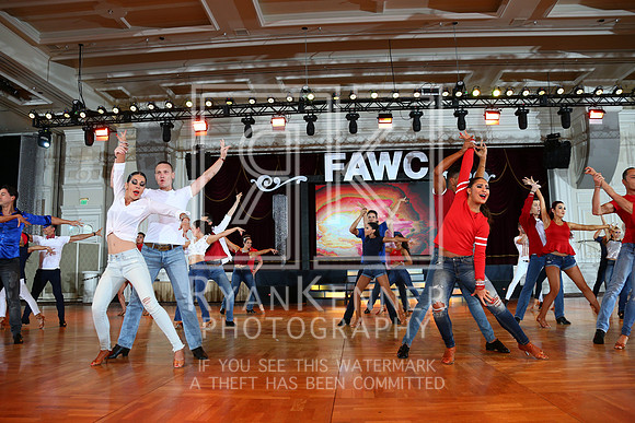 FAWC18_27220543C