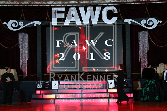 FAWC18_25212323A